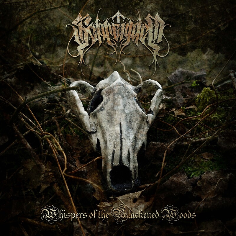 Single Cover